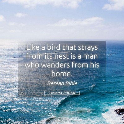 Picture 05 - Proverbs 27:8 BSB - Like a bird that strays from its nest is a man - Bible Verse Picture