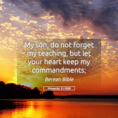 Picture 05 - Proverbs 3:1 BSB - My son, do not forget my teaching, but let your - Bible Verse Picture