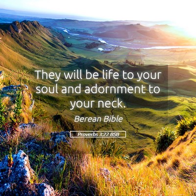 Picture 05 - Proverbs 3:22 BSB - They will be life to your soul and adornment to - Bible Verse Picture