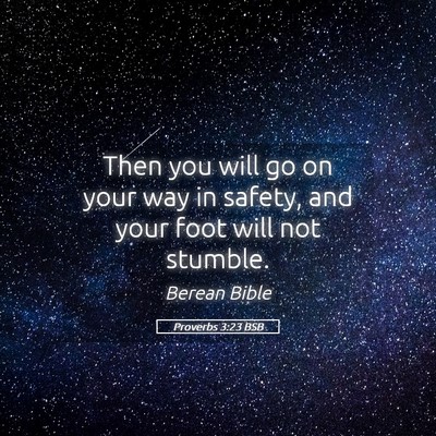Picture 05 - Proverbs 3:23 BSB - Then you will go on your way in safety, and your - Bible Verse Picture