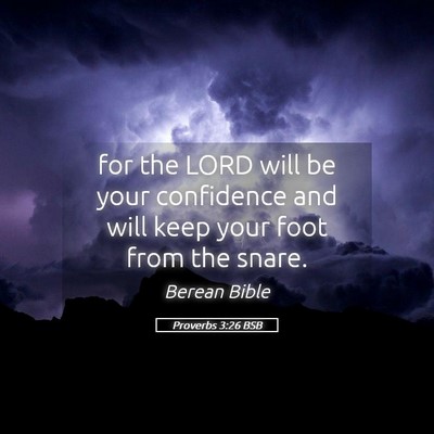 Picture 05 - Proverbs 3:26 BSB - for the LORD will be your confidence and will - Bible Verse Picture