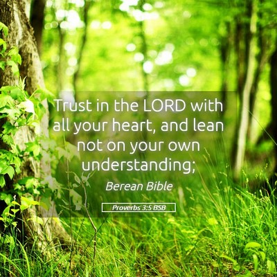 Picture 05 - Proverbs 3:5 BSB - Trust in the LORD with all your heart, and lean - Bible Verse Picture