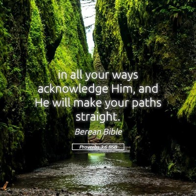 Picture 05 - Proverbs 3:6 BSB - in all your ways acknowledge Him, and He will - Bible Verse Picture