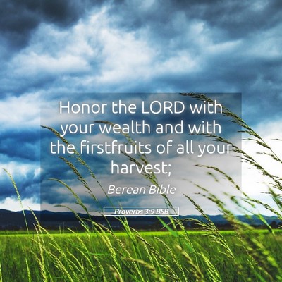 Picture 05 - Proverbs 3:9 BSB - Honor the LORD with your wealth and with the - Bible Verse Picture