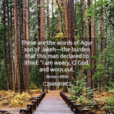 Picture 05 - Proverbs 30:1 BSB - These are the words of Agur son of Jakeh—the - Bible Verse Picture
