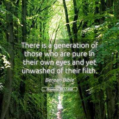 Picture 05 - Proverbs 30:12 BSB - There is a generation of those who are pure in - Bible Verse Picture