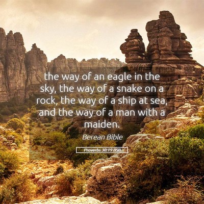 Picture 05 - Proverbs 30:19 BSB - the way of an eagle in the sky, the way of a - Bible Verse Picture