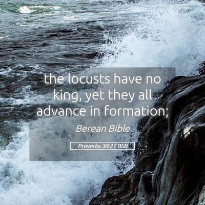 Picture 05 - Proverbs 30:27 BSB - the locusts have no king, yet they all advance in - Bible Verse Picture