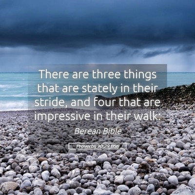 Picture 05 - Proverbs 30:29 BSB - There are three things that are stately in their - Bible Verse Picture