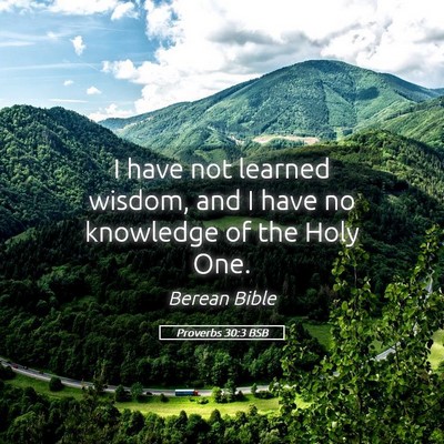 Picture 05 - Proverbs 30:3 BSB - I have not learned wisdom, and I have no - Bible Verse Picture
