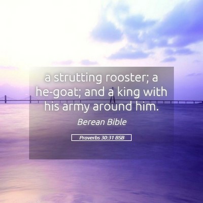 Picture 05 - Proverbs 30:31 BSB - a strutting rooster; a he-goat; and a king with - Bible Verse Picture