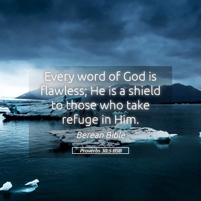 Picture 05 - Proverbs 30:5 BSB - Every word of God is flawless; He is a shield to - Bible Verse Picture
