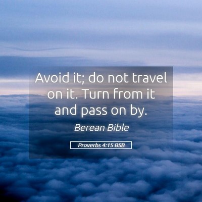 Picture 05 - Proverbs 4:15 BSB - Avoid it; do not travel on it. Turn from it and - Bible Verse Picture