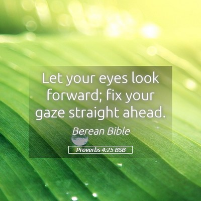 Picture 05 - Proverbs 4:25 BSB - Let your eyes look forward; fix your gaze - Bible Verse Picture