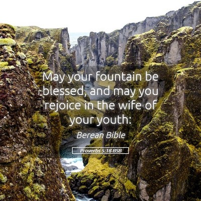 Picture 05 - Proverbs 5:18 BSB - May your fountain be blessed, and may you rejoice - Bible Verse Picture