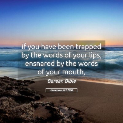 Picture 05 - Proverbs 6:2 BSB - if you have been trapped by the words of your - Bible Verse Picture