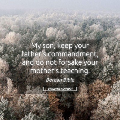 Picture 05 - Proverbs 6:20 BSB - My son, keep your father’s commandment, and do - Bible Verse Picture