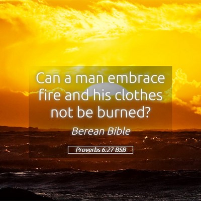 Picture 05 - Proverbs 6:27 BSB - Can a man embrace fire and his clothes not be - Bible Verse Picture
