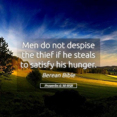 Picture 05 - Proverbs 6:30 BSB - Men do not despise the thief if he steals to - Bible Verse Picture