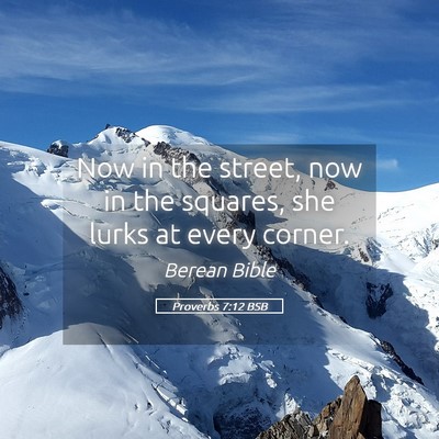 Picture 05 - Proverbs 7:12 BSB - Now in the street, now in the squares, she lurks - Bible Verse Picture