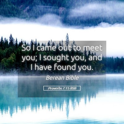 Picture 05 - Proverbs 7:15 BSB - So I came out to meet you; I sought you, and I - Bible Verse Picture