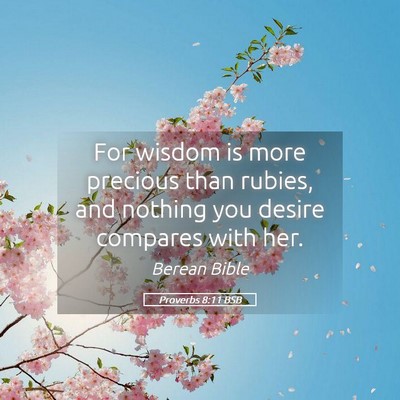 Picture 05 - Proverbs 8:11 BSB - For wisdom is more precious than rubies, and - Bible Verse Picture