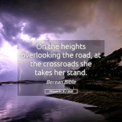 Picture 05 - Proverbs 8:2 BSB - On the heights overlooking the road, at the - Bible Verse Picture