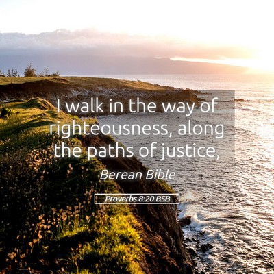 Picture 05 - Proverbs 8:20 BSB - I walk in the way of righteousness, along the - Bible Verse Picture