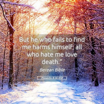 Picture 05 - Proverbs 8:36 BSB - But he who fails to find me harms himself; all - Bible Verse Picture