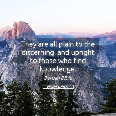 Picture 05 - Proverbs 8:9 BSB - They are all plain to the discerning, and upright - Bible Verse Picture