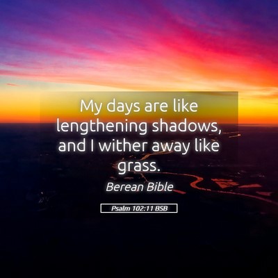 Picture 05 - Psalm 102:11 BSB - My days are like lengthening shadows, and I - Bible Verse Picture