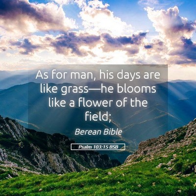Picture 05 - Psalm 103:15 BSB - As for man, his days are like grass—he blooms - Bible Verse Picture