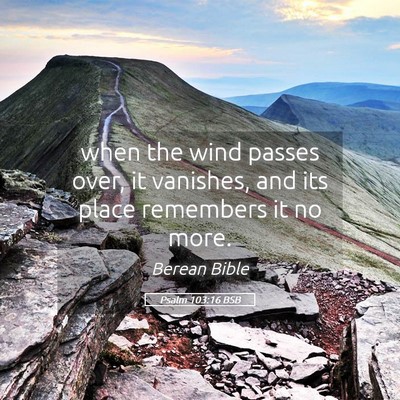 Picture 05 - Psalm 103:16 BSB - when the wind passes over, it vanishes, and its - Bible Verse Picture