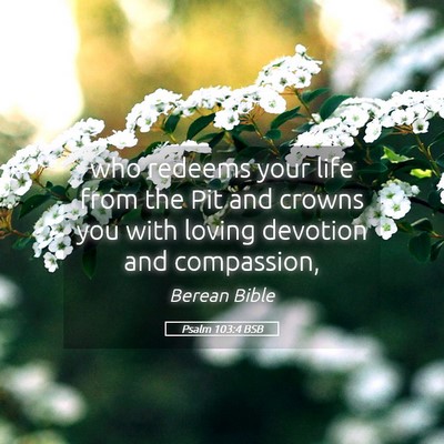Picture 05 - Psalm 103:4 BSB - who redeems your life from the Pit and crowns you - Bible Verse Picture