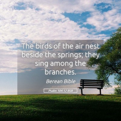 Picture 05 - Psalm 104:12 BSB - The birds of the air nest beside the springs; - Bible Verse Picture