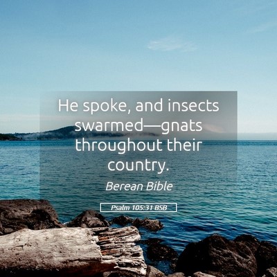 Picture 05 - Psalm 105:31 BSB - He spoke, and insects swarmed—gnats throughout - Bible Verse Picture