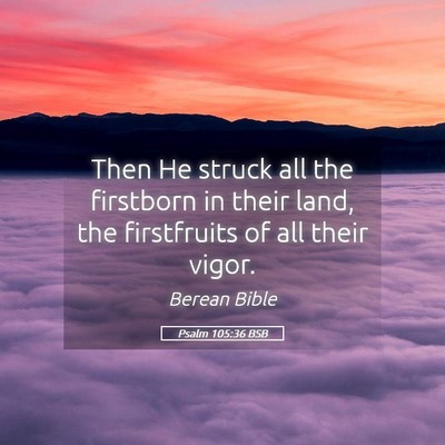 Picture 05 - Psalm 105:36 BSB - Then He struck all the firstborn in their land, - Bible Verse Picture
