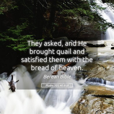 Picture 05 - Psalm 105:40 BSB - They asked, and He brought quail and satisfied - Bible Verse Picture