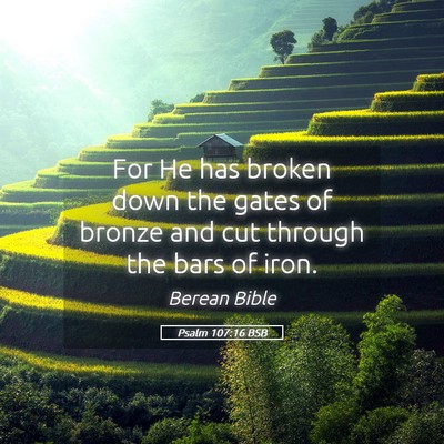 Picture 05 - Psalm 107:16 BSB - For He has broken down the gates of bronze and - Bible Verse Picture