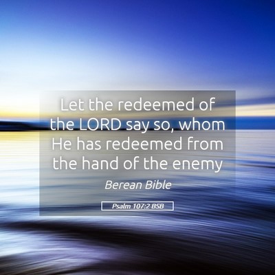 Picture 05 - Psalm 107:2 BSB - Let the redeemed of the LORD say so, whom He has - Bible Verse Picture