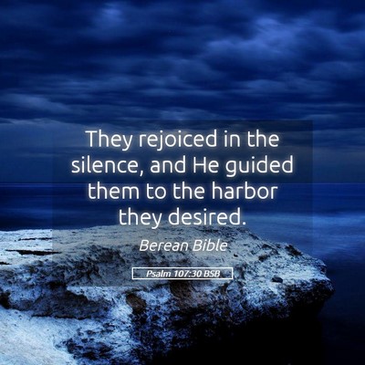 Picture 05 - Psalm 107:30 BSB - They rejoiced in the silence, and He guided them - Bible Verse Picture