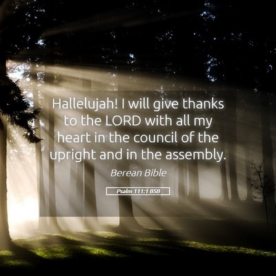 Picture 05 - Psalm 111:1 BSB - Hallelujah! I will give thanks to the LORD with - Bible Verse Picture