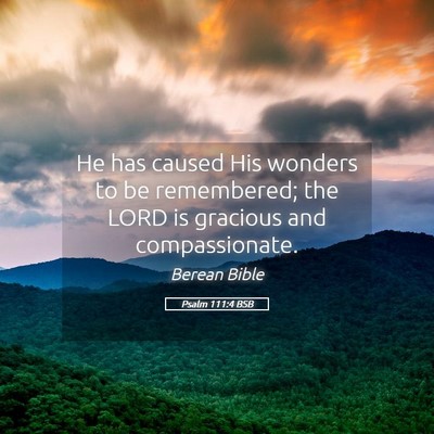 Picture 05 - Psalm 111:4 BSB - He has caused His wonders to be remembered; the - Bible Verse Picture