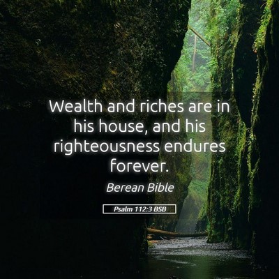 Picture 05 - Psalm 112:3 BSB - Wealth and riches are in his house, and his - Bible Verse Picture