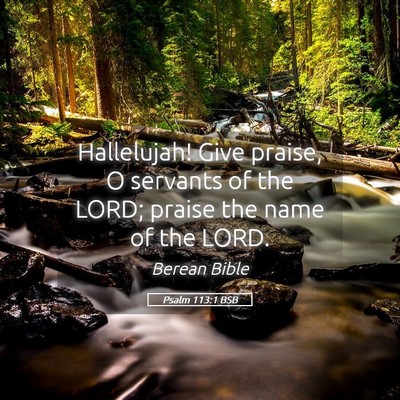 Picture 05 - Psalm 113:1 BSB - Hallelujah! Give praise, O servants of the LORD; - Bible Verse Picture