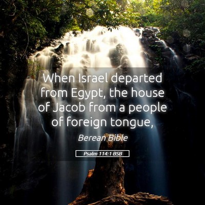 Picture 05 - Psalm 114:1 BSB - When Israel departed from Egypt, the house of - Bible Verse Picture