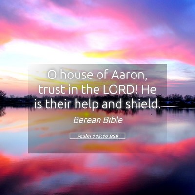 Picture 05 - Psalm 115:10 BSB - O house of Aaron, trust in the LORD! He is their - Bible Verse Picture