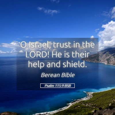 Picture 05 - Psalm 115:9 BSB - O Israel, trust in the LORD! He is their help and - Bible Verse Picture