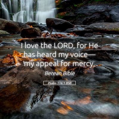 Picture 05 - Psalm 116:1 BSB - I love the LORD, for He has heard my voice—my - Bible Verse Picture