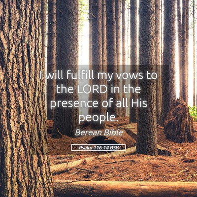 Picture 05 - Psalm 116:14 BSB - I will fulfill my vows to the LORD in the - Bible Verse Picture